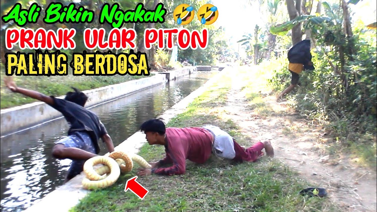 Prank Ular Piton Paling Berdosa || Asli Lucu Bikin Ngakak 🤣🤣 || Funniest Snake Prank