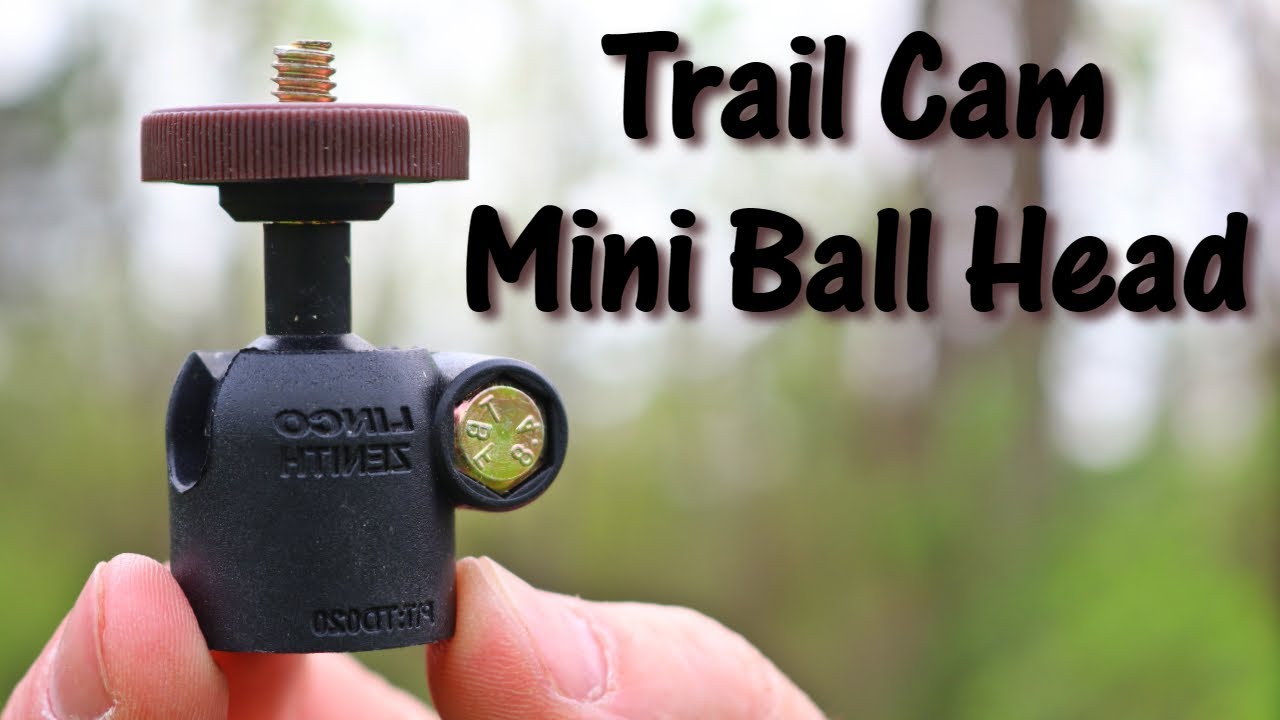 A Better Mount for Your Trail Camera: Top 3 Ways to Use LINCO Mini Ball Head ONLY $1.25