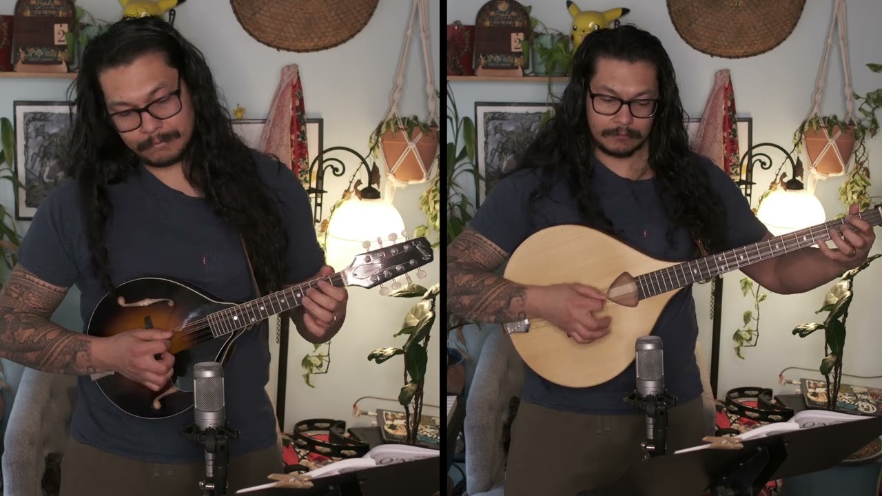 The Honeysuckle | Irish Hornpipe | Mandolin and Irish Bouzouki