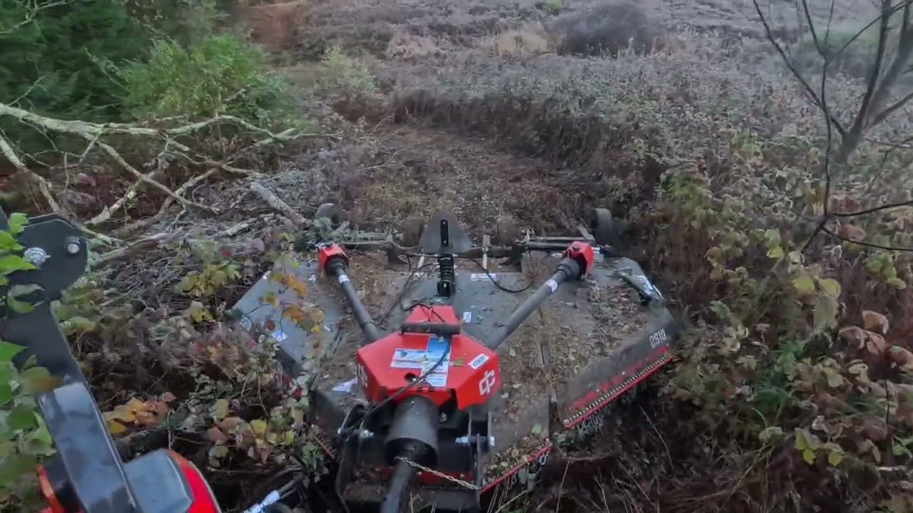 Tackling 16 Acres of Overgrowth! Part 1