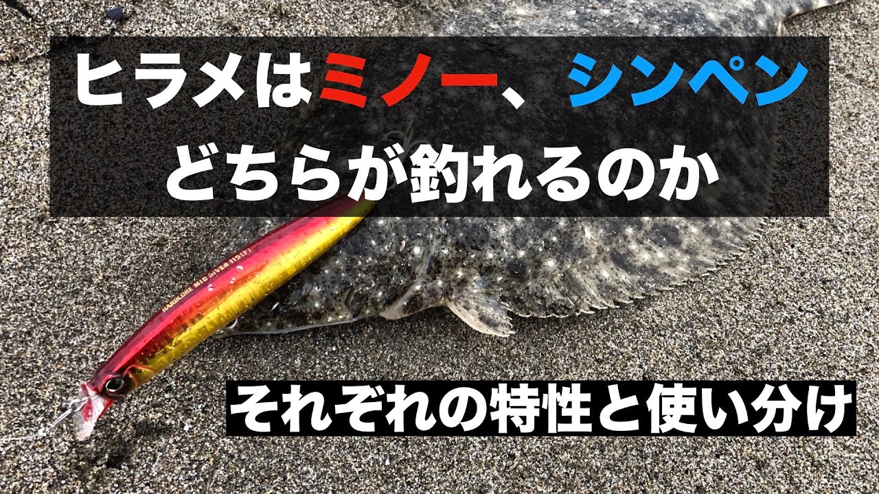 ヒラメはミノー、シンペンどちらが釣れるのか。