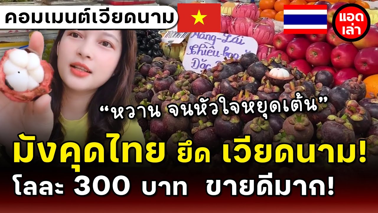 มังคุดไทย ขายดีเป็นกระแส ครองเวียดนาม! | คอมเมนต์เวียดนาม