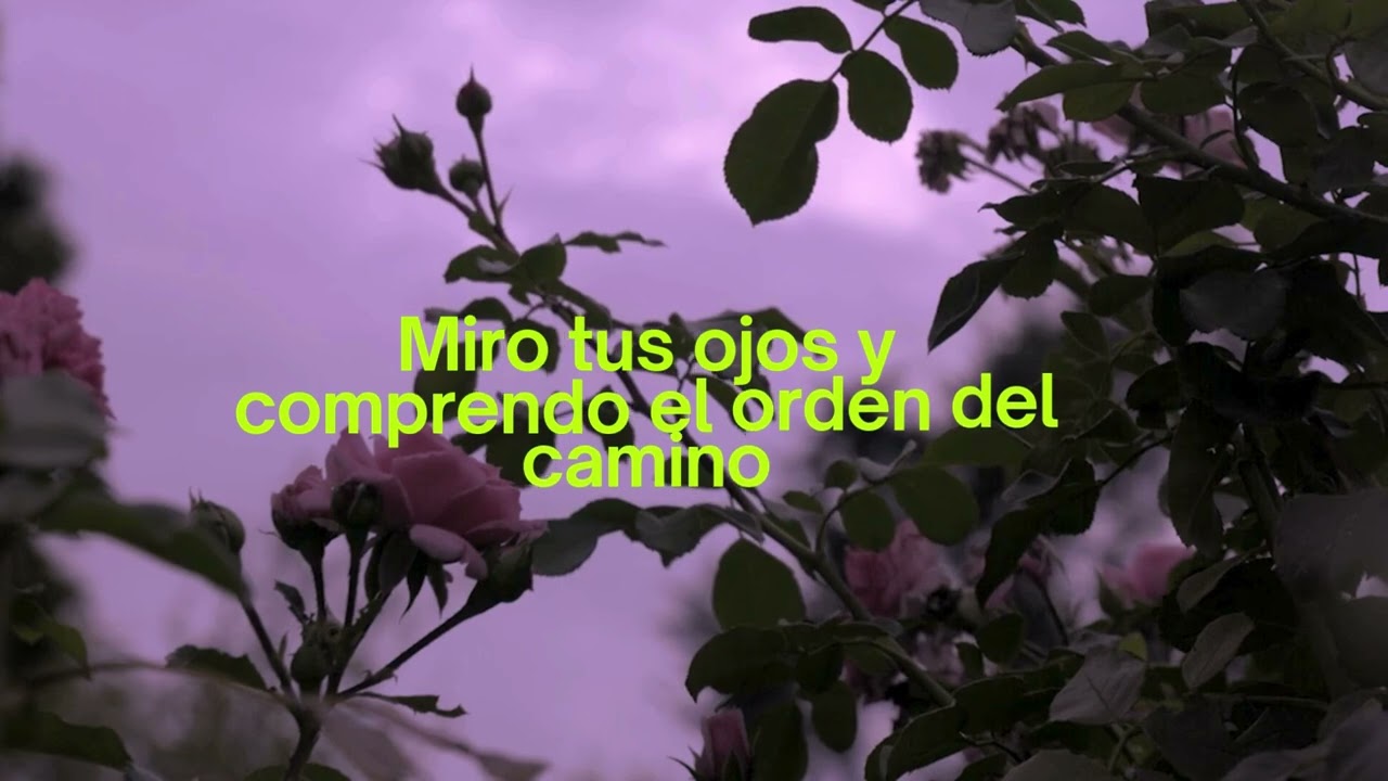 Amor Eterno por ti 