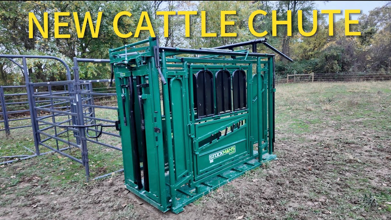 New Cattle Chute Walkthrough | Stockman’s Choice Pax Heavy Duty Review