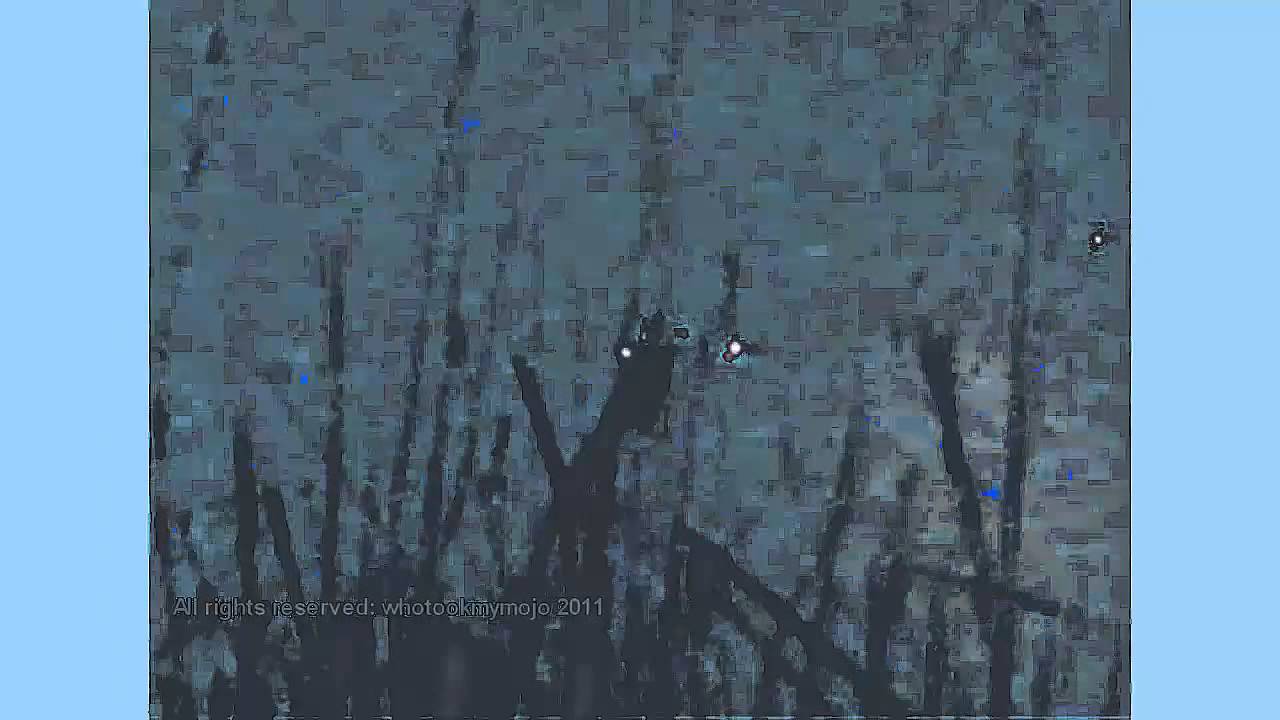 UFO Oregon, 9/22/11, Amazing close-up(analyse)