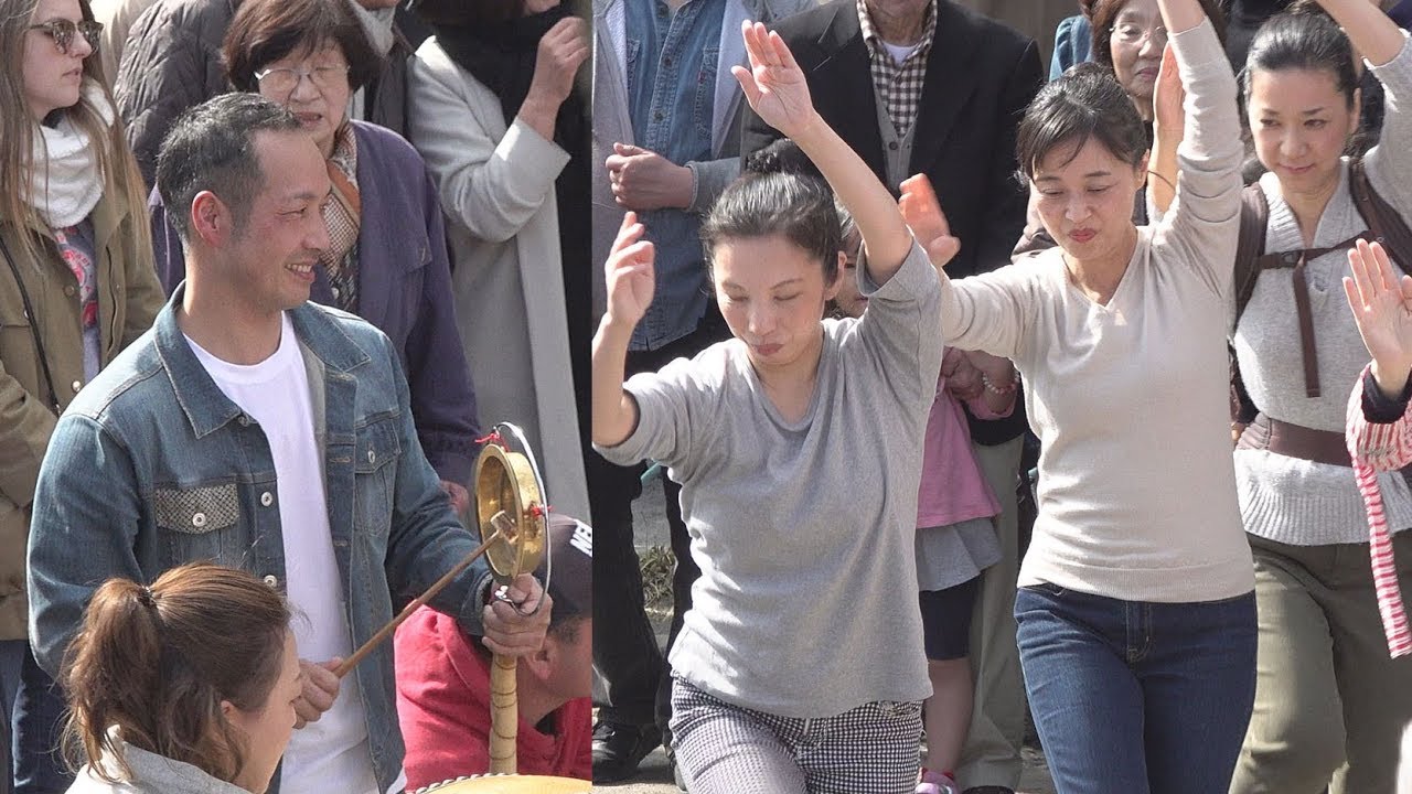 阿波踊りフラッシュモブ「浅草雷連」桜橋花まつり2019  傑作選❕（2019.3.31）