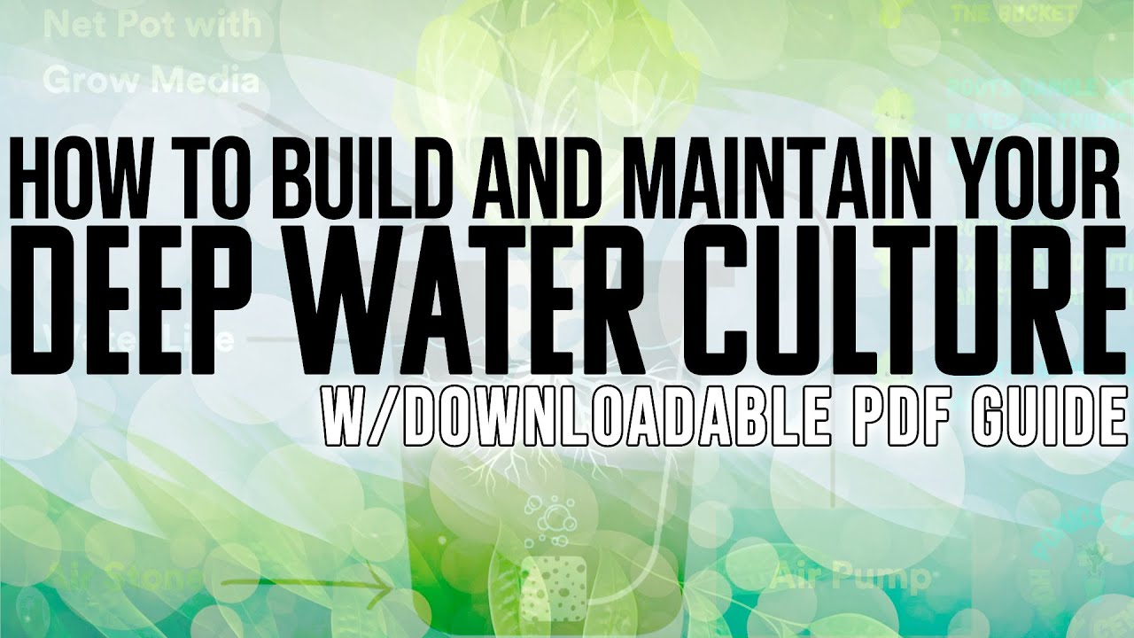 I Show You How To Build, Fill, And Setup A DWC / Deep Water Culture Hydroponic Garden Easily