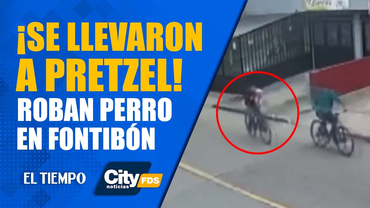 #CityNoticias: Indignaci&oacute;n en Fontib&oacute;n: Ladrones con llaves maestras se robaron perro a una familia