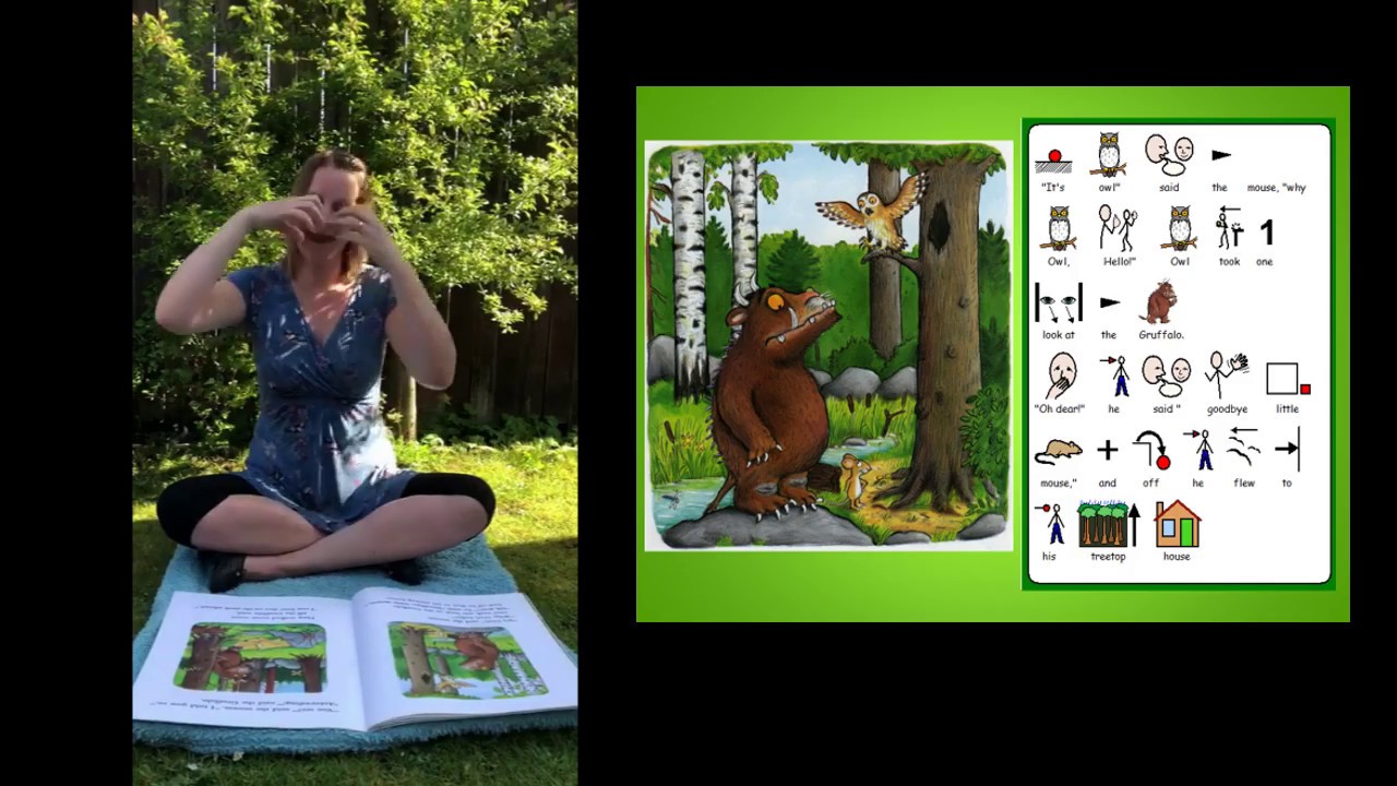 The Gruffalo Makaton story