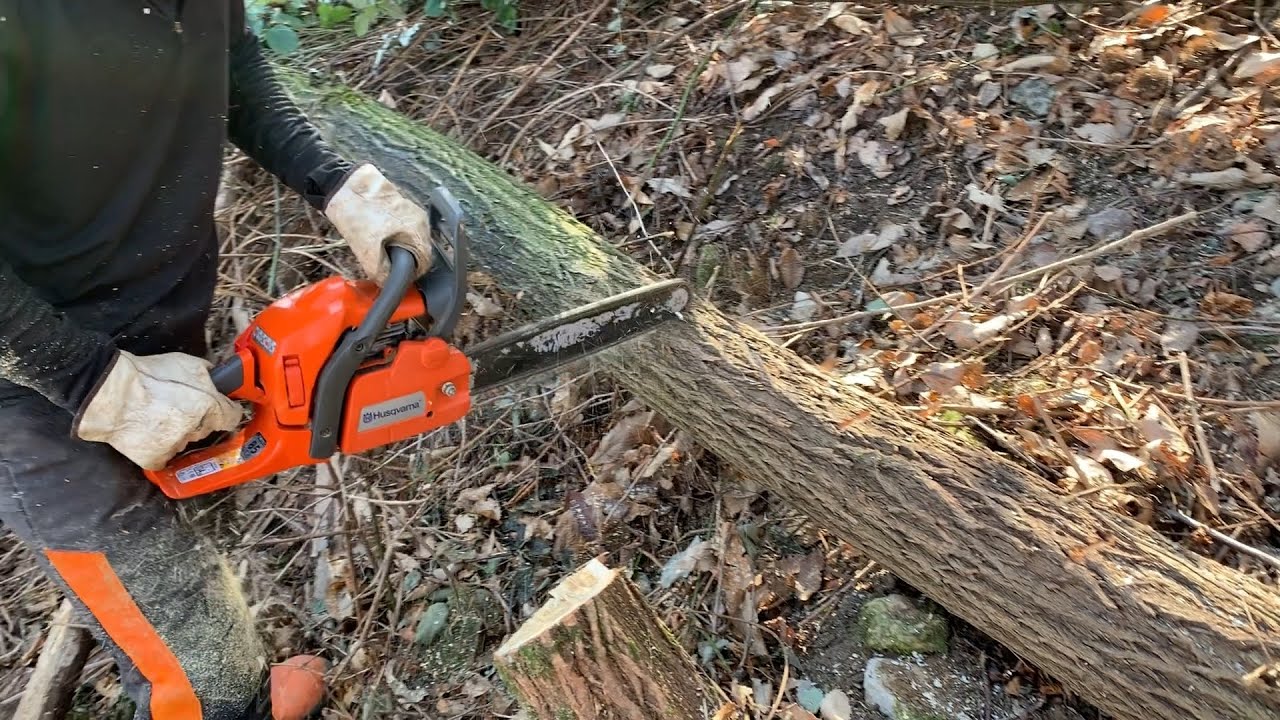 MOTOSEGA HUSQVARNA 440 II abbattimento e sfrondatura bosco ceduo