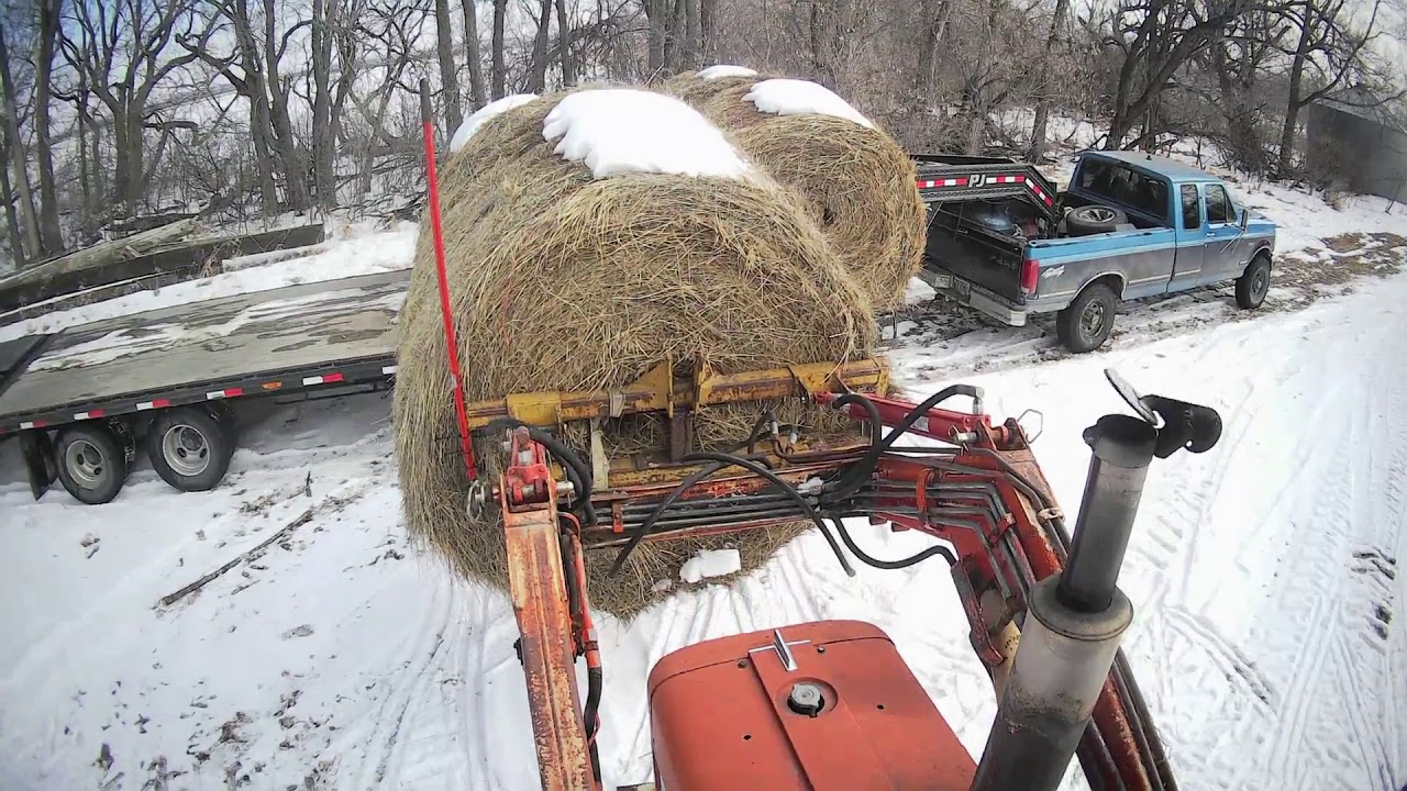 Hauling Hay
