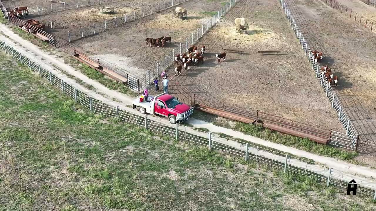 Hoffman Ranch 9/10/2025 4K