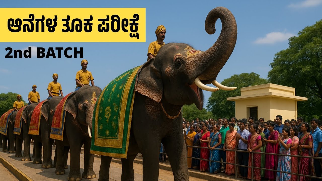 Mysore Dasara 2025 | 2nd Batch Elephant Weight Check | Sugreeva Tops the List 🐘