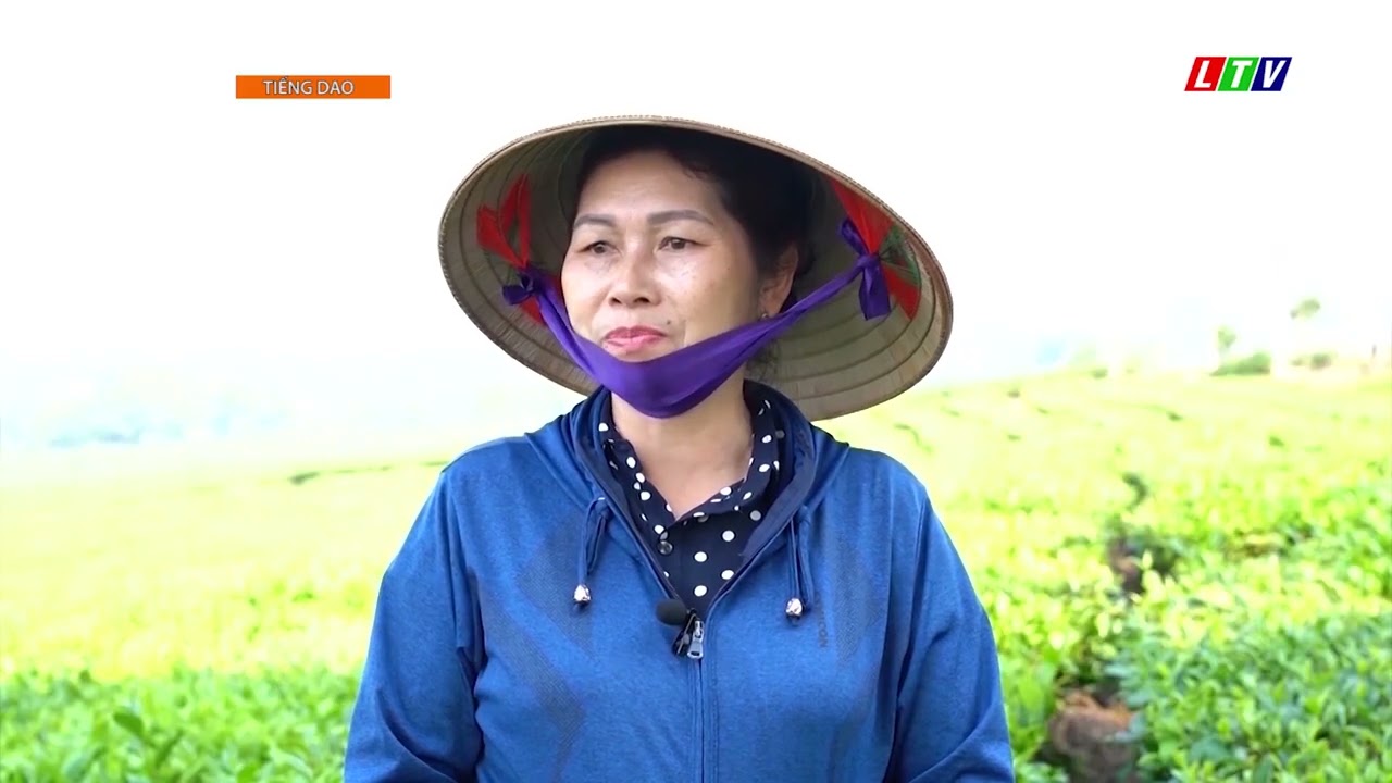 Tạp chí chuyên đề tiếng Dao, ngày 09-02-2026