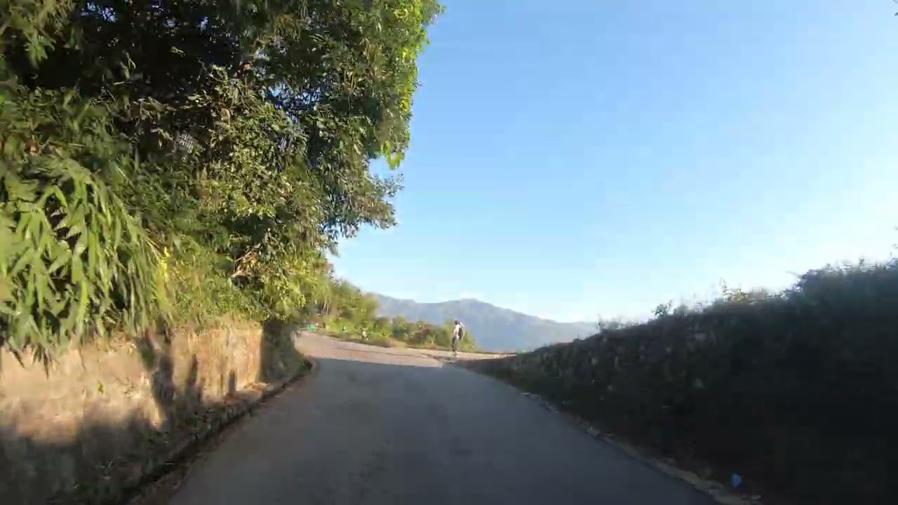 NEPAL PETS And Veterinary Sewa