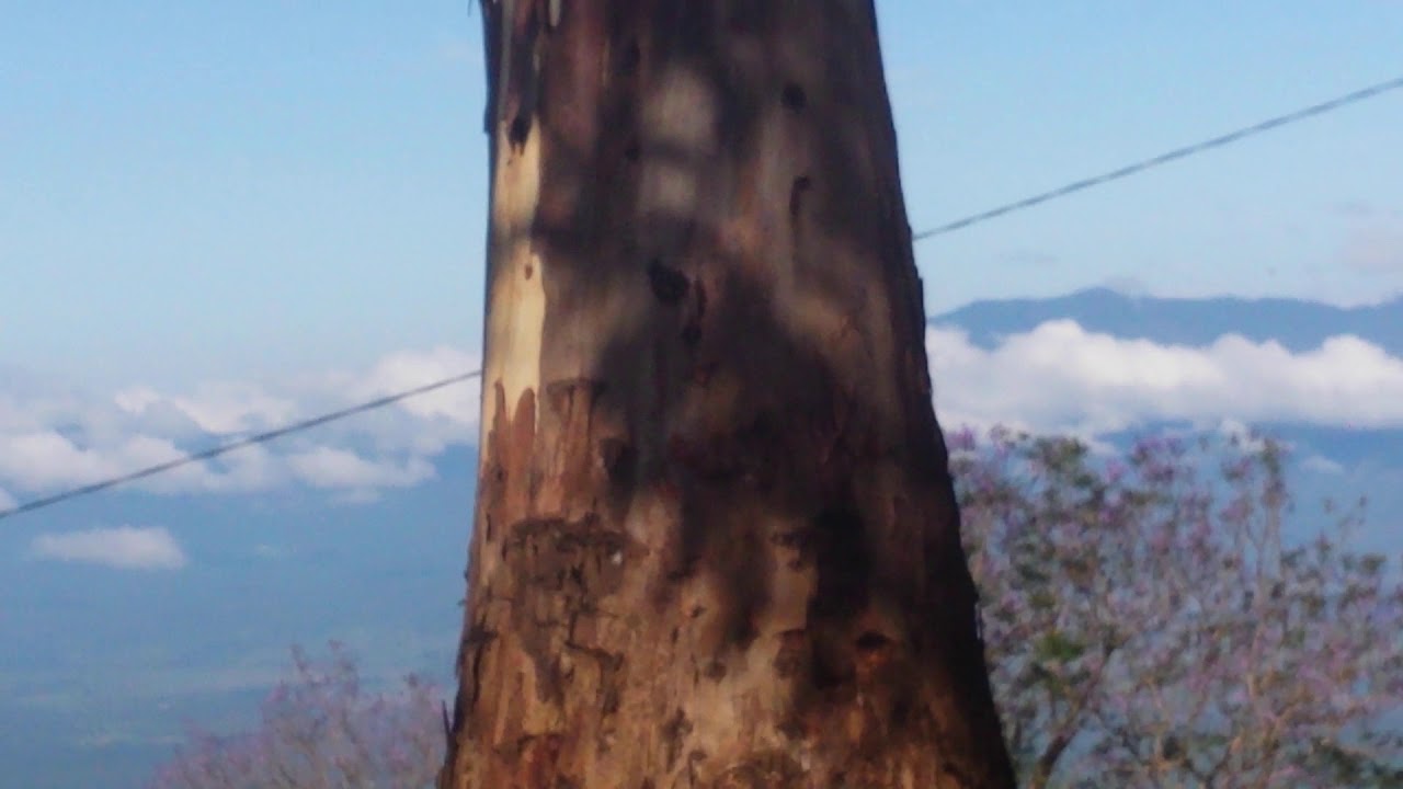 Mtae view,Lushoto-TANGA REGION,TZ