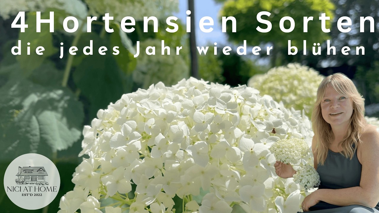 Meine 4 liebsten Hortensien – wunderschön & pflegeleicht für deinen Garten!