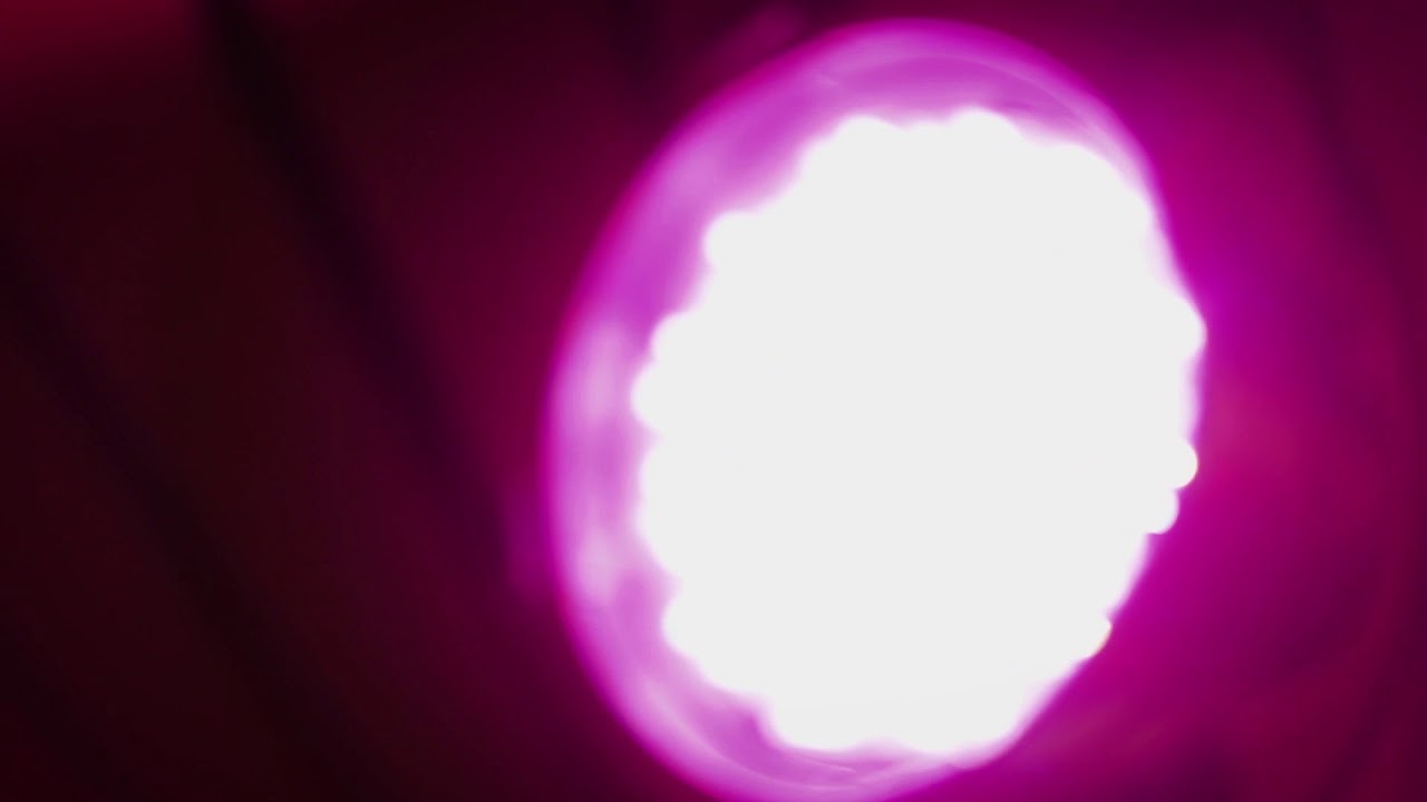 Popcentrum Jacobiberg Open dag 2019 teaser