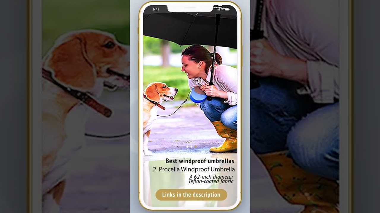 Best Windproof Umbrella | Compact, Folding, Travel|