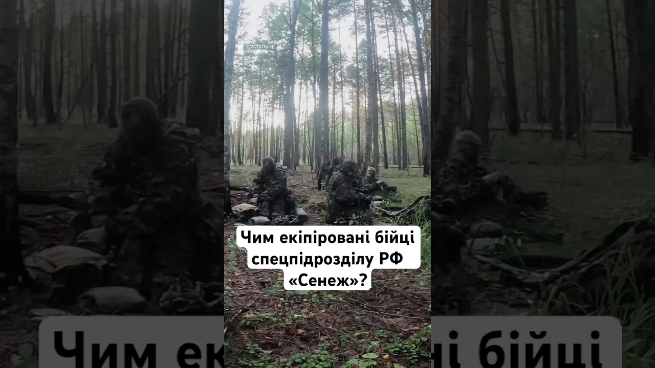 Чим екіпіровані бійці спецпідрозділу РФ &laquo;Сенеж&raquo;? #війна #україна #новини #shorts #люди #життя
