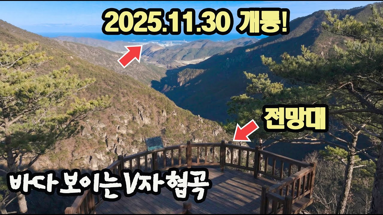 [동해] 드디어 열렸다! 11월 30일 개통한 'V자 협곡' 숲길 (무릉계곡 피마름골)