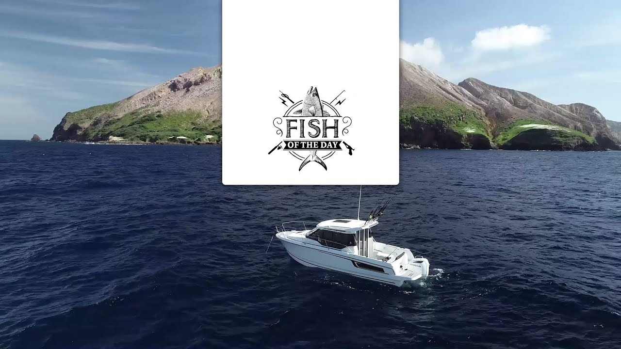 FISH OF THE DAY Saison 2 Episode 3 &ndash; White Island et son volcan en activit&eacute; !
