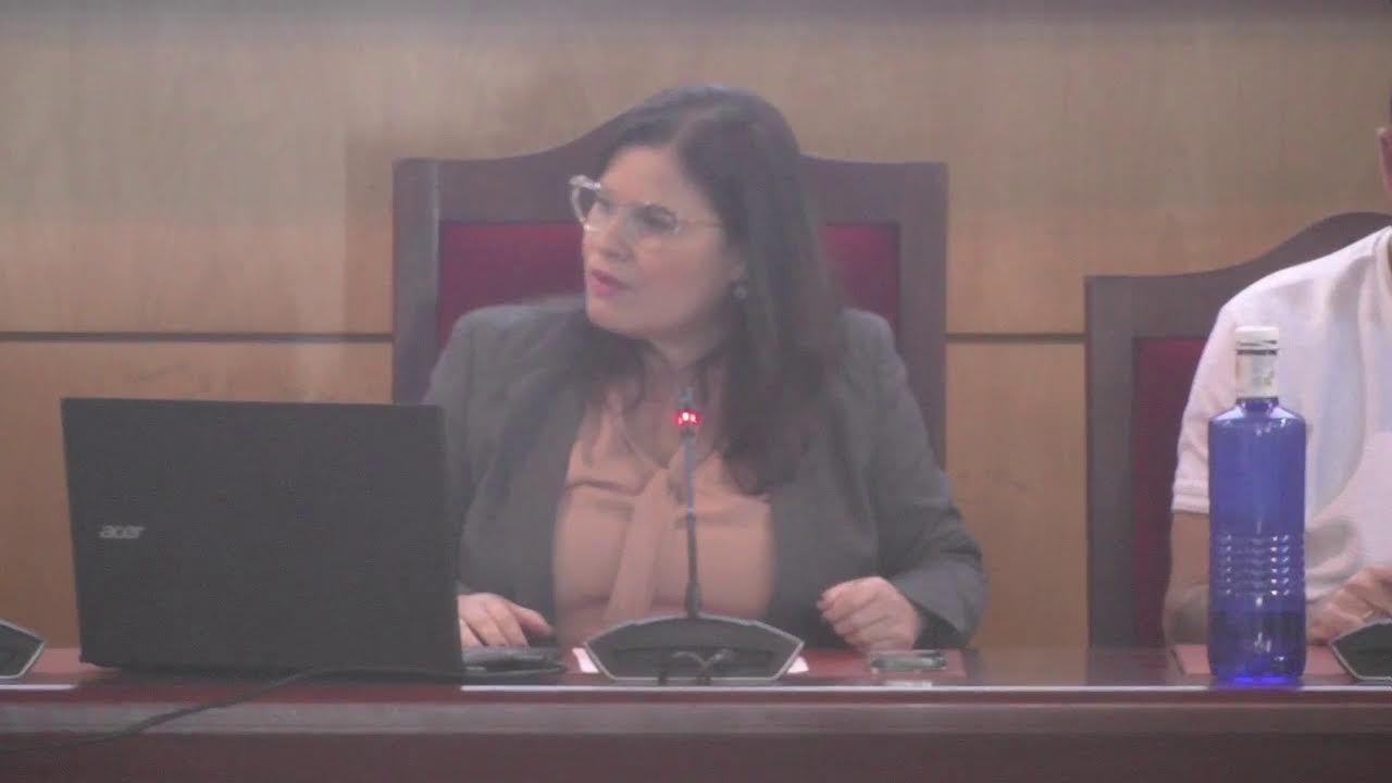 Pleno extraordinario 9 de febrero 2026