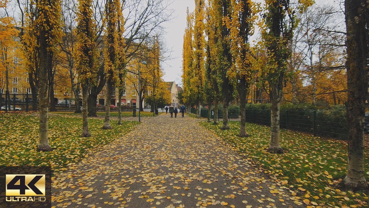 【4K】Late Autumn walk to Kaivopuisto, Helsinki 🍂