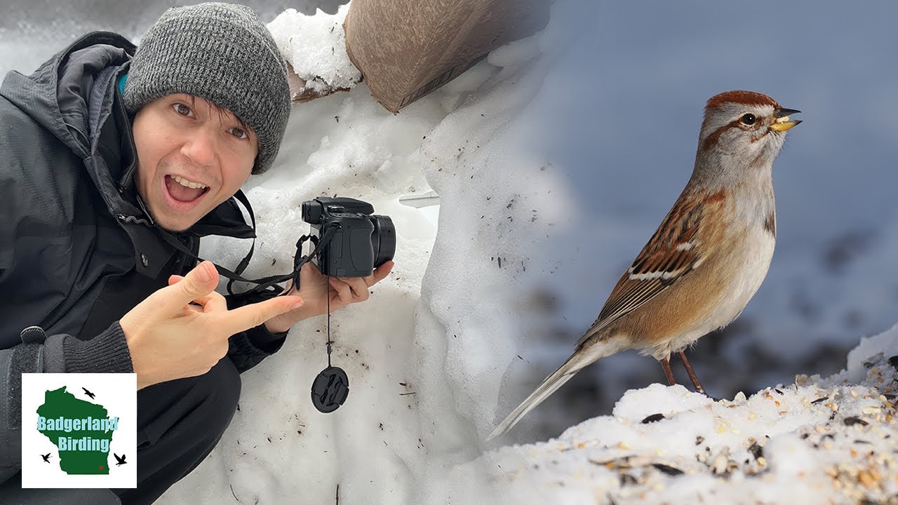 We Made A Bird Photography Blind Out Of Snow! Here's What Happened…