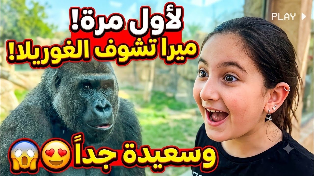 لما بنتك ما تسمع كلامك ويطلعلها غوريلا حقيقية بنص الشارع 😭