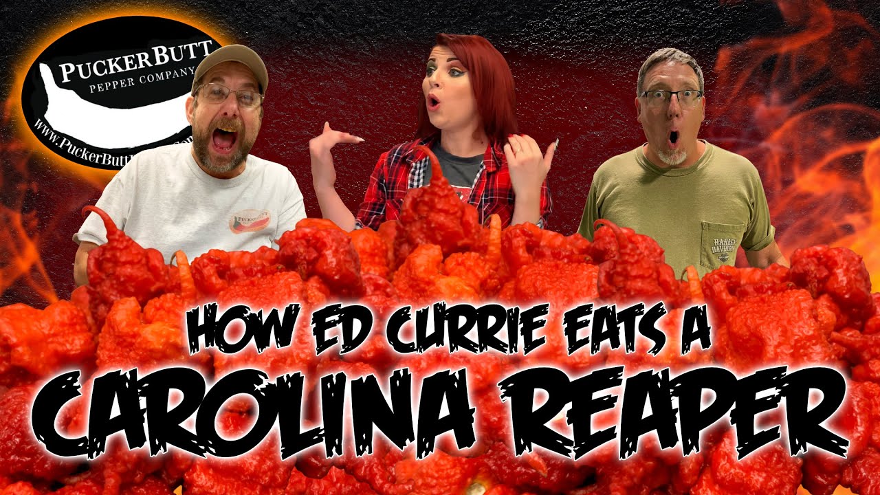 Люди пробуют Carolina Reaper | Smokin' Ed Currie Edition
