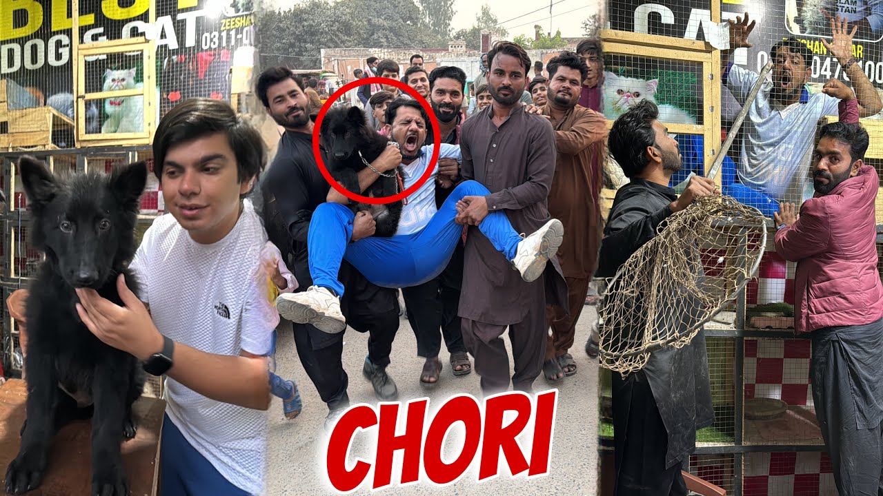 Mamu Pr Chori Ka ilzam Lag Gea 😨 Cage Me Band Kr Dea Mamu Ko 😭