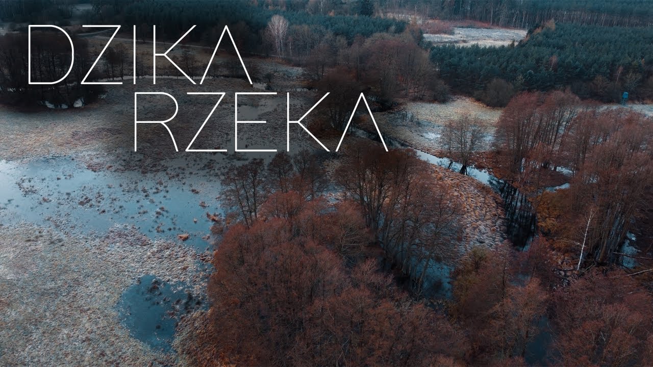 Powrót na dziką leśną rzeczkę