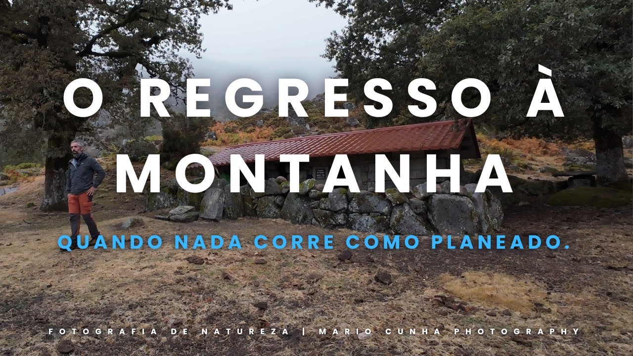 FOTOGRAFIA DE NATUREZA | Quando tudo corre mal | SERRA DO GERÊS