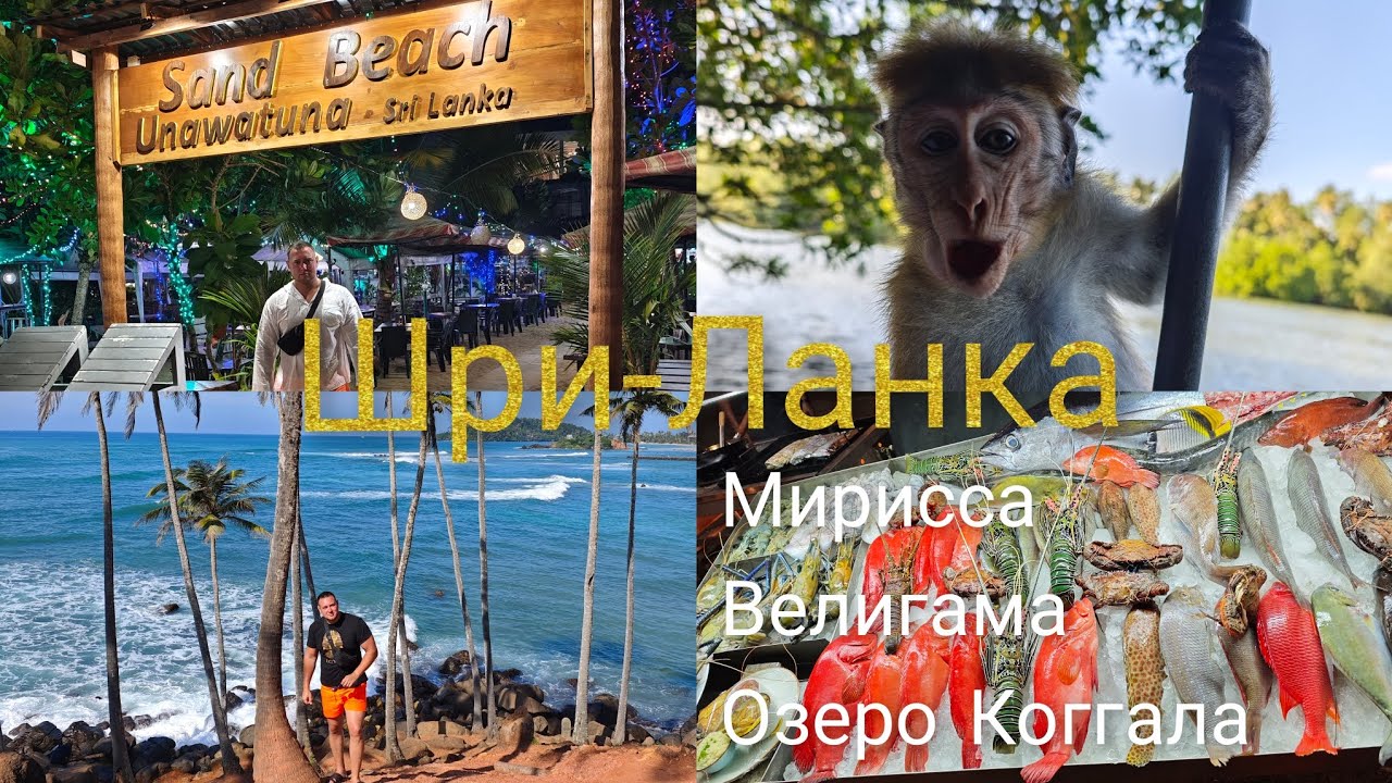 Шри-Ланка. Мирисса. Велигама. Озеро Коггала. Декабрь 2024