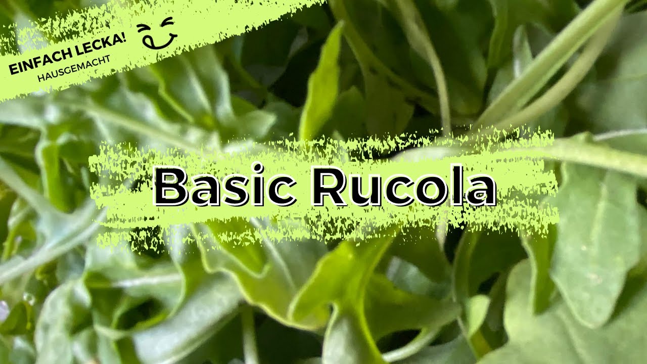 Rucola Salat waschen und richtig aufbewahren!