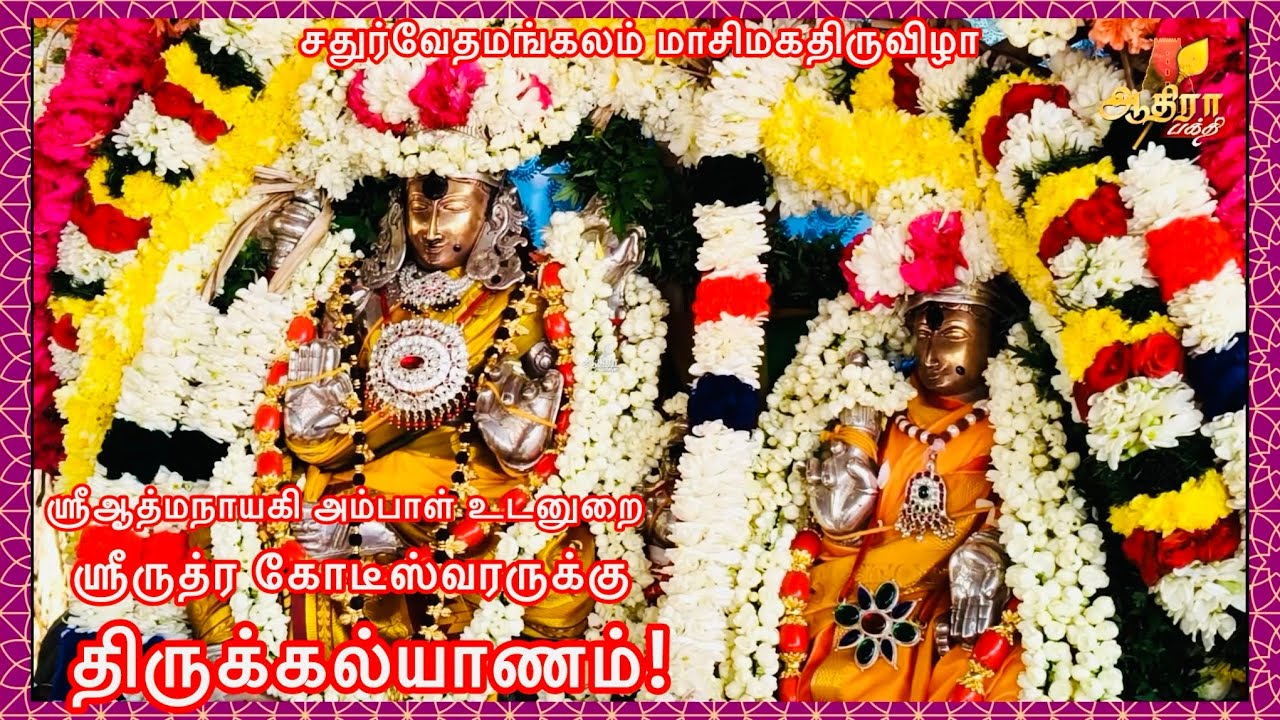 சதுர்வேதமங்கலம் மாசிமகதிருவிழா ஸ்ரீஆத்மநாயகி அம்பாள் உடனுறை ஸ்ரீருத்ர கோடீஸ்வரருக்கு திருக்கல்யாணம்!