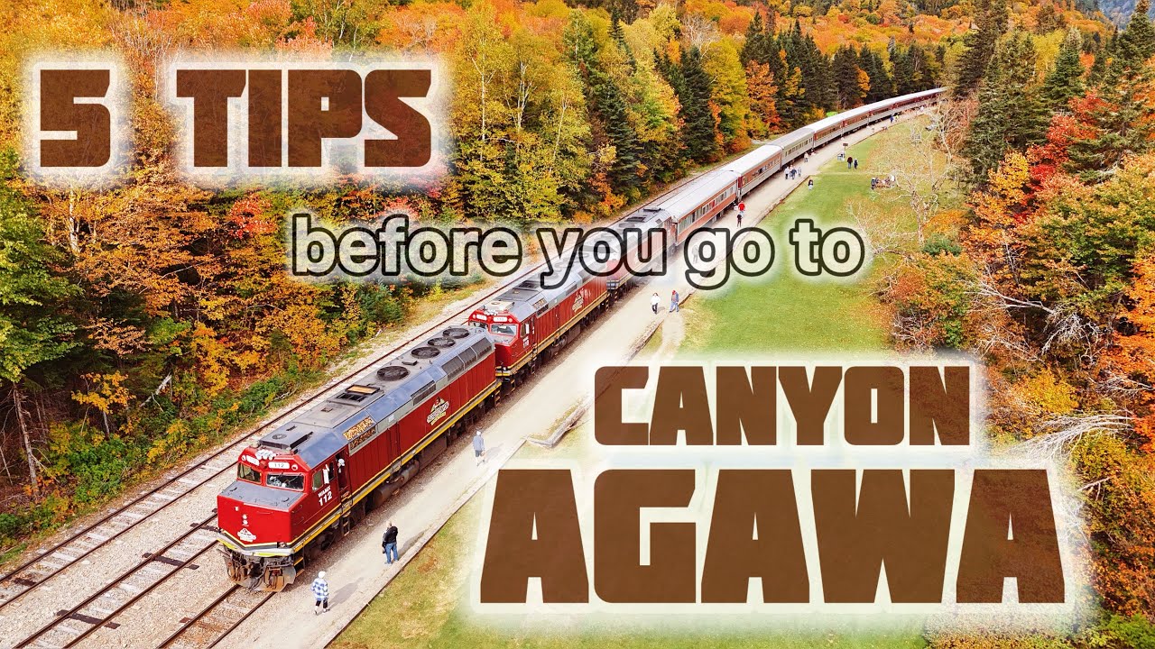 Legendary Agawa Canyon Tour Train  - hidden gem of Northern Ontario. 5 Tips for your best trip 2025