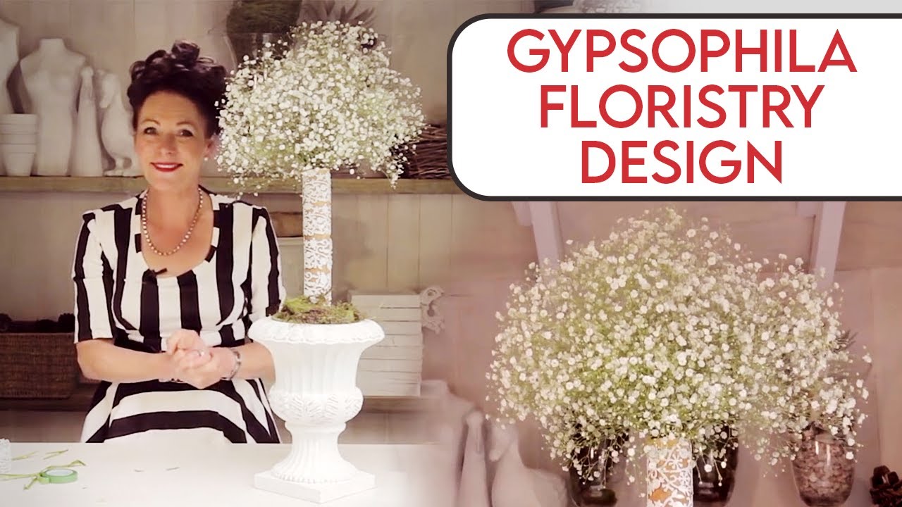Arranging with Gypsophila Floristry Design Tutorial