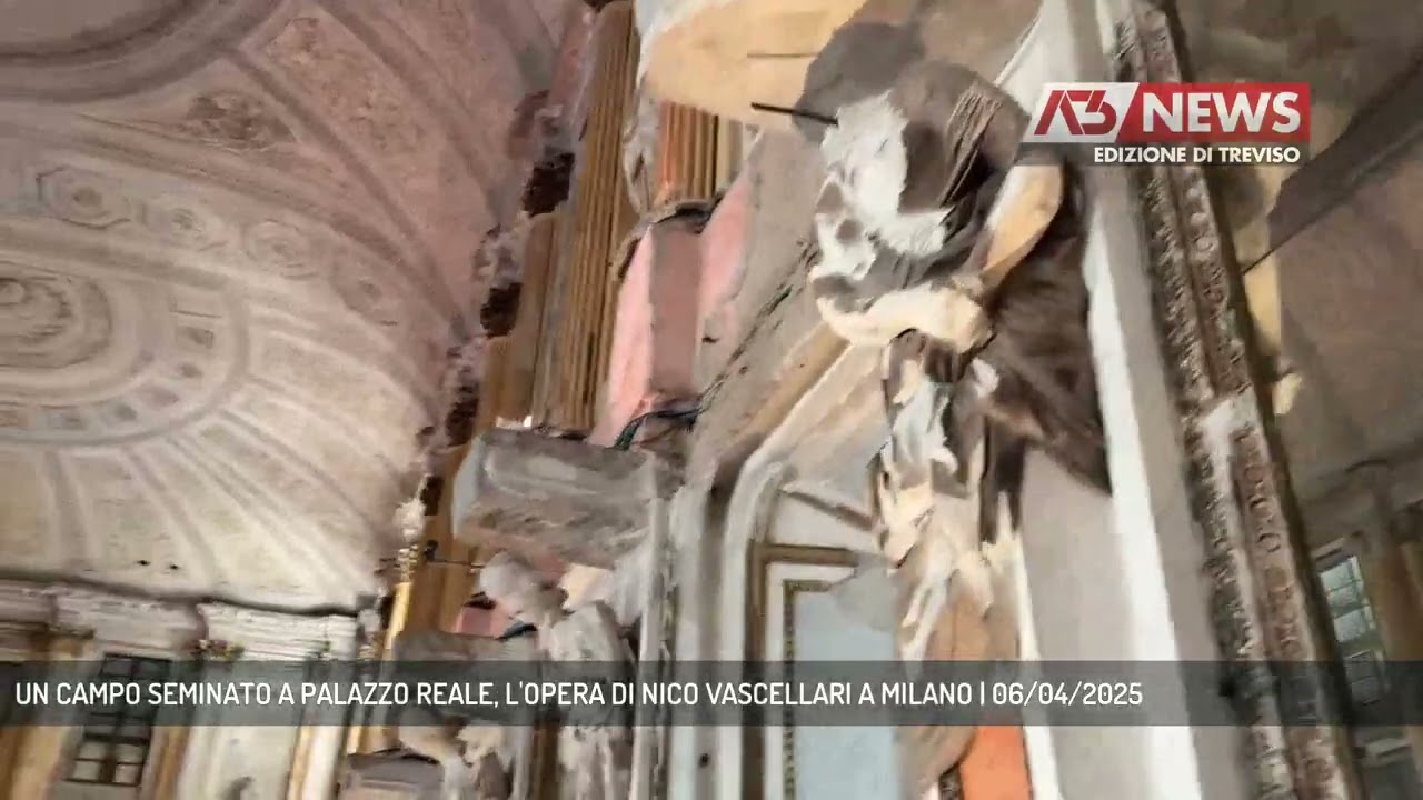 UN CAMPO SEMINATO A PALAZZO REALE, L'OPERA DI NICO VASCELLARI A MILANO | 06/04/2025