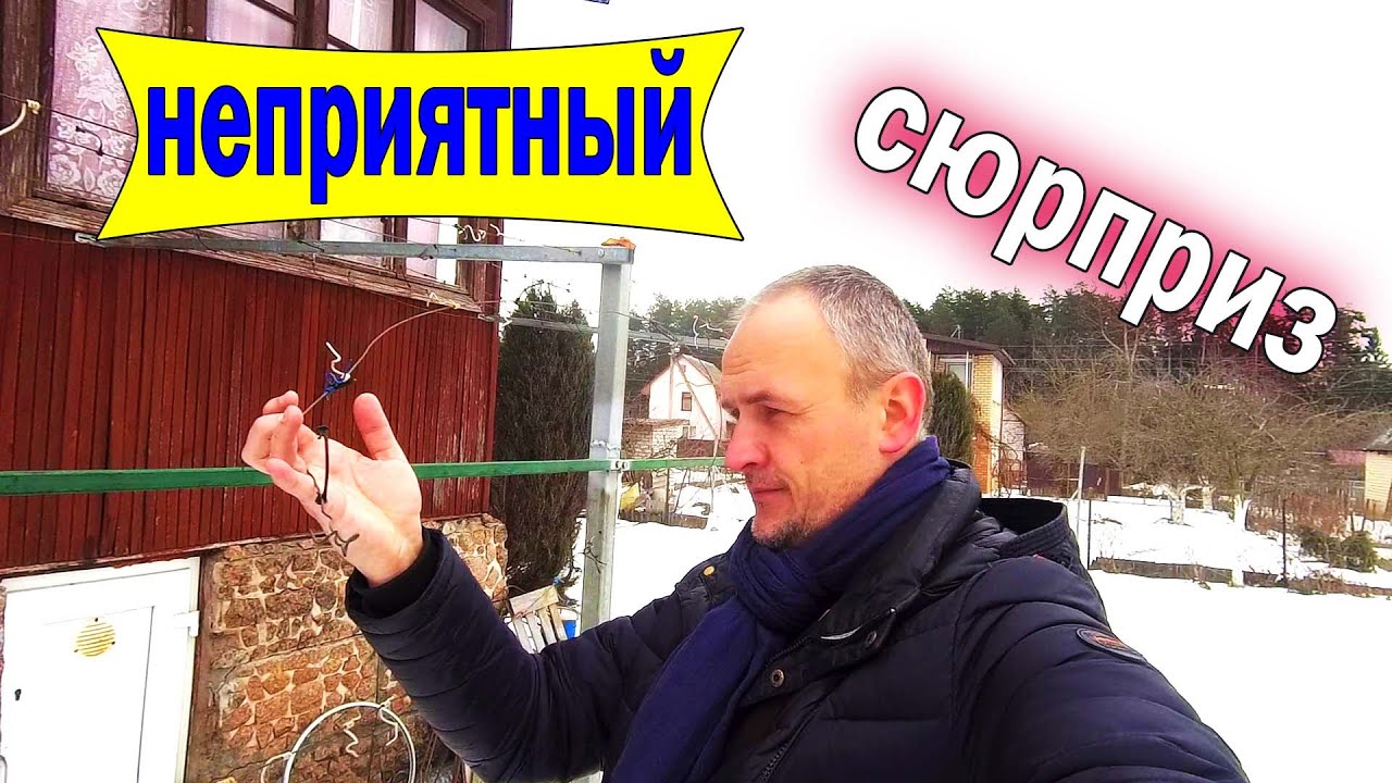 🔴🔴Оборвало Шпалеры Винограда. Яблоки после хранения в феврале.