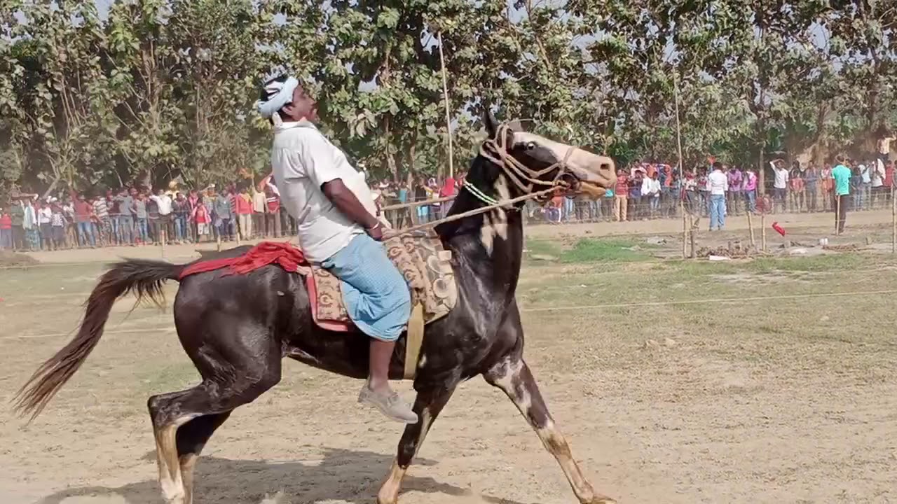 Aguani Dumaria Buzurg horse race