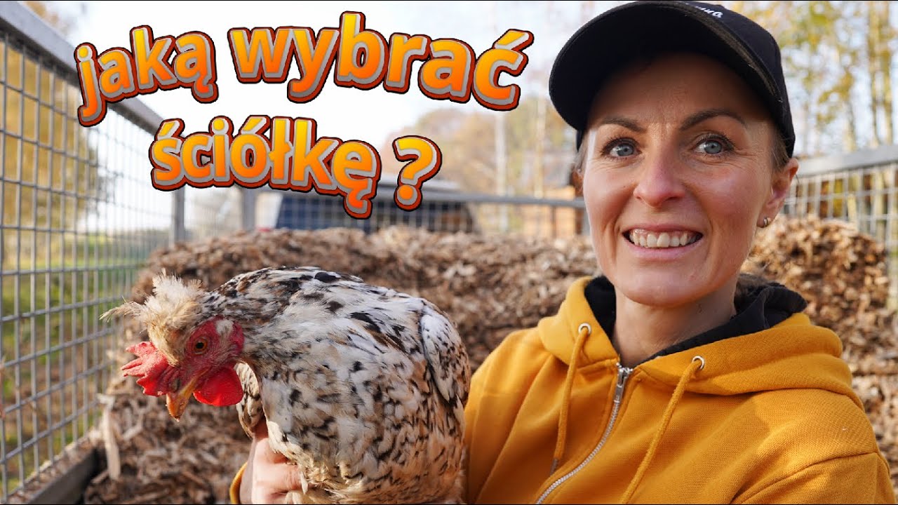 Najlepsza ściółka do kurnika | Ściółka jako prewencja : sieczka z konopi, słoma, trociny, zrębki ...
