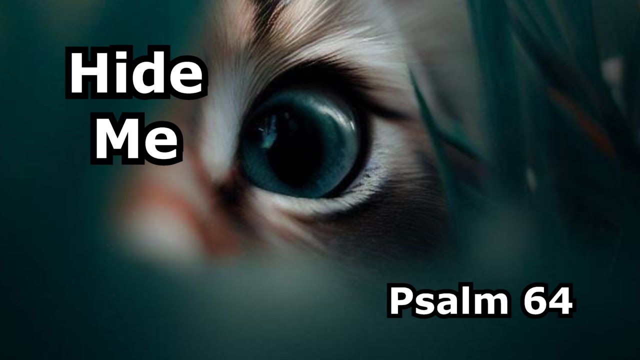 Hide Me (Psalm 64)