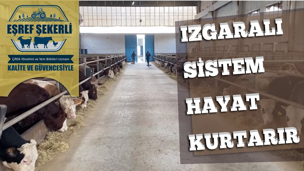 Izgaralı Sistemde Her Şey Yolunda!
