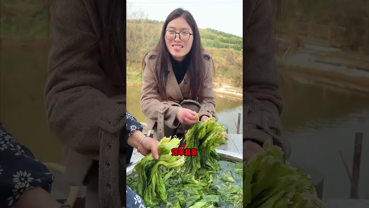 我奶奶做了幾十年的農村老壇酸菜，酸脆爽口，巴適得慘，是餐桌上必不可少的一道下飯小菜 #老壇酸菜 #我的鄉村生活 #農村種菜 #農村生活  #腌酸菜