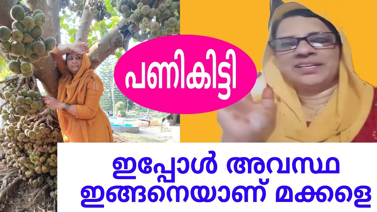 സാബിത്താന്റെ ഇപ്പോഴത്തെ അവസ്ഥ ഇതാണ് മക്കളെ #sabivlog 