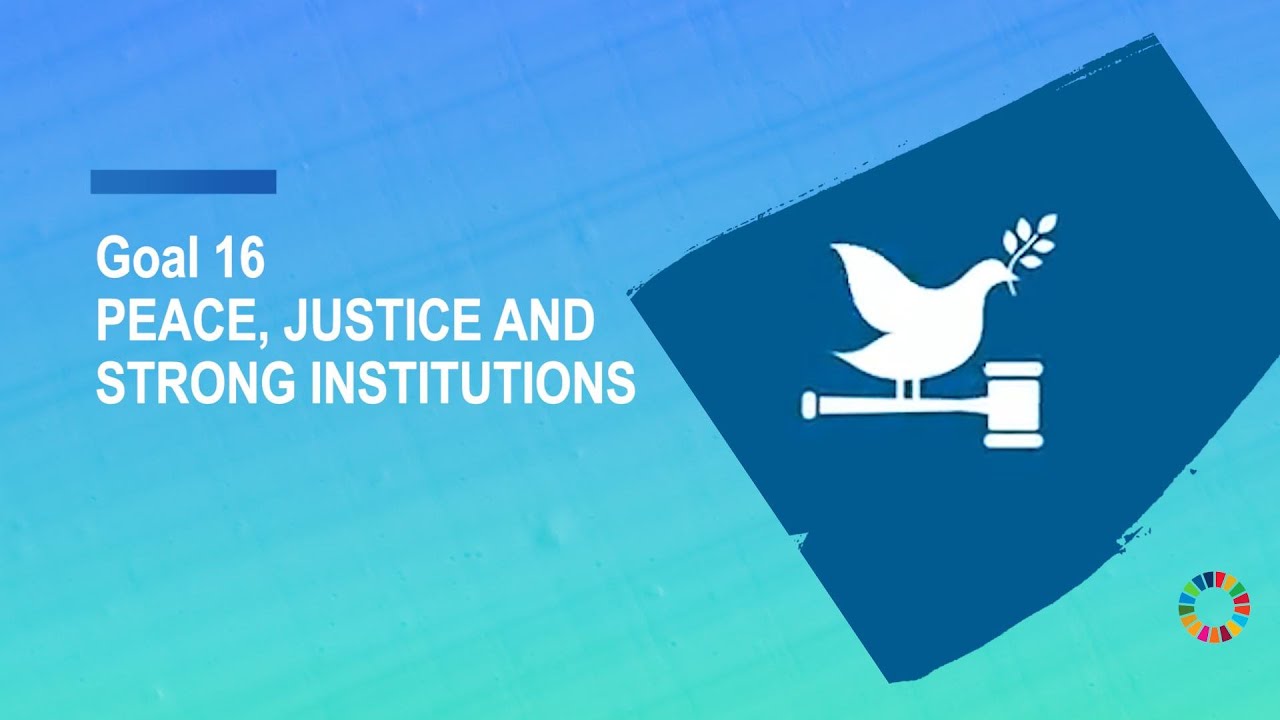 Goal 16: Promote just, peaceful and inclusive societies
