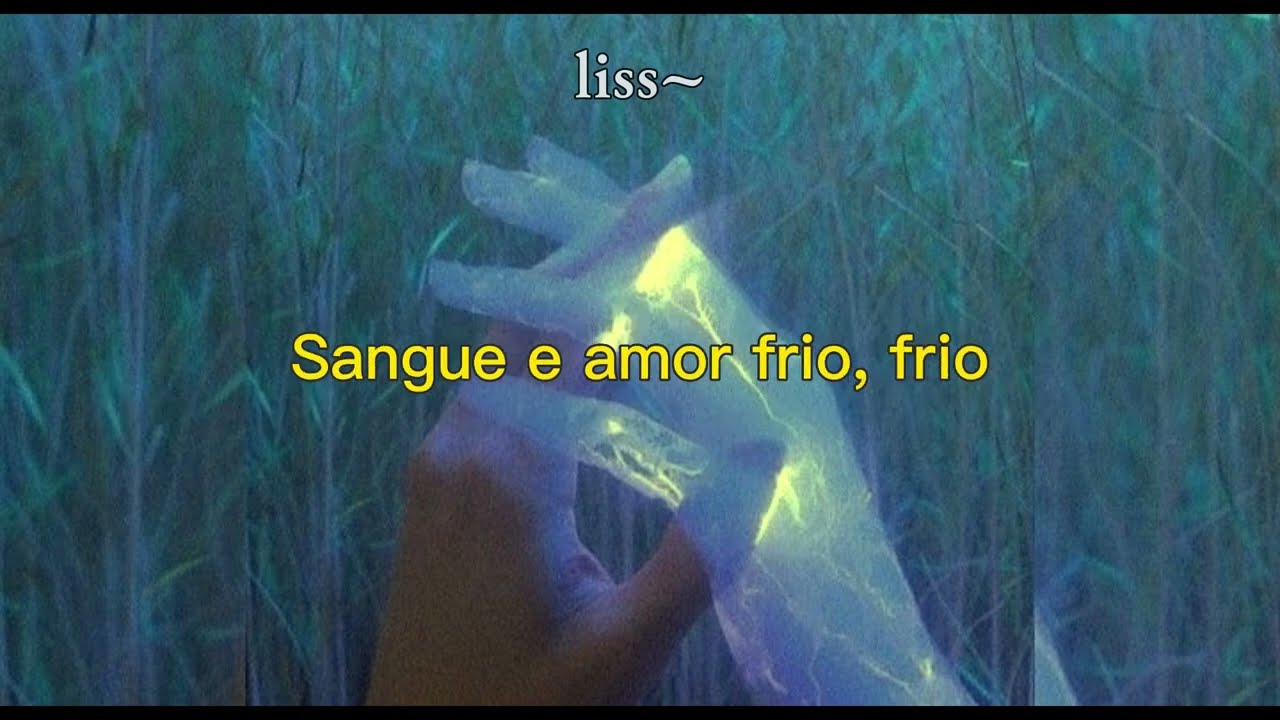 Cold Love - Rainbow Kitten Surprise (Tradução)