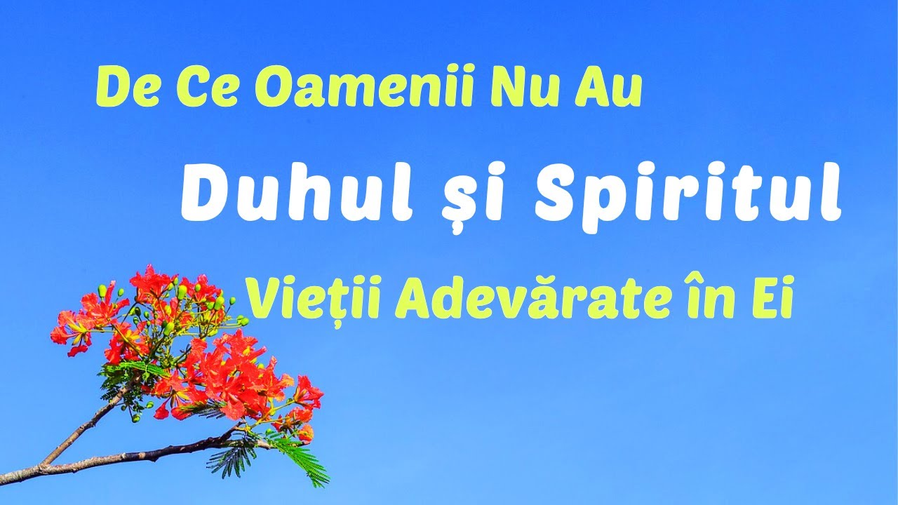 DUHUL ȘI SPIRITUL VIEȚII ADEVĂRATE NU EXISTĂ ÎN OAMENI